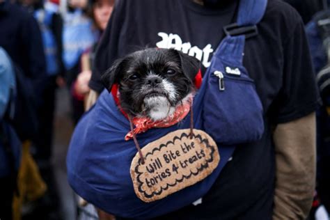 Photos Thousands March In London In ‘britain Is Broken Protest In