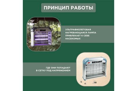 Антимоскитная лампа REXANT R60 71-0036 - выгодная цена, отзывы ...