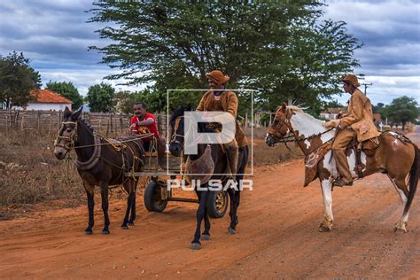 Qual A Puxada Do Cavalo - Carroca Puxada Por Cavalos Fundo Carroça Tradicional Puxada A Cavalo