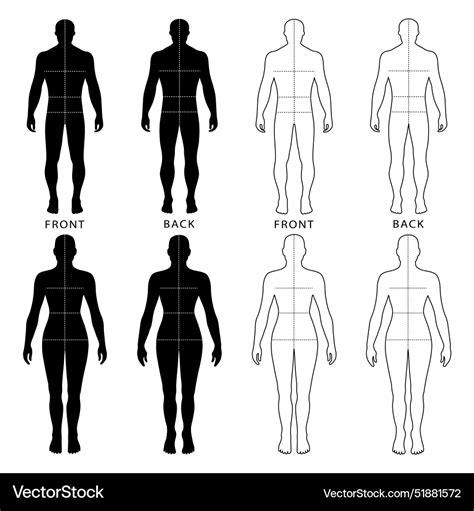 Naked Standing Fashion Man Woman Figure Bald Vector Image