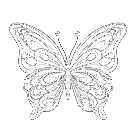 Free Butterfly Printable Coloring Pages