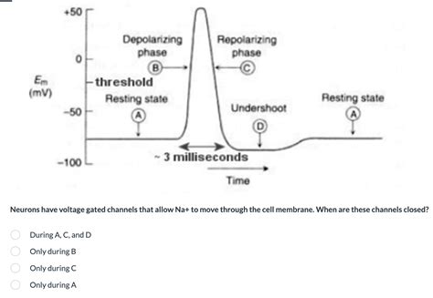 Solved Neurons have voltage gated channels that allow Na+ | Chegg.com