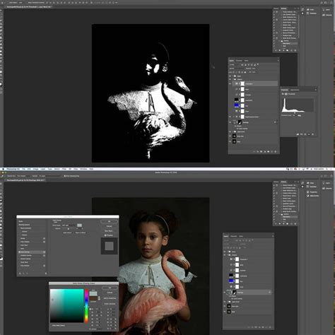 Darkroom Techniques Traditional Art