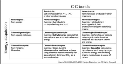 Bios 44 Exam 3 Flashcards Quizlet