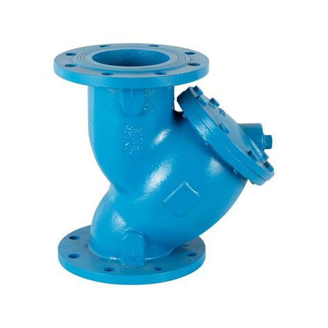 Dn Pn Di Wcb Flanged End Y Type Filter Strainer Valve China