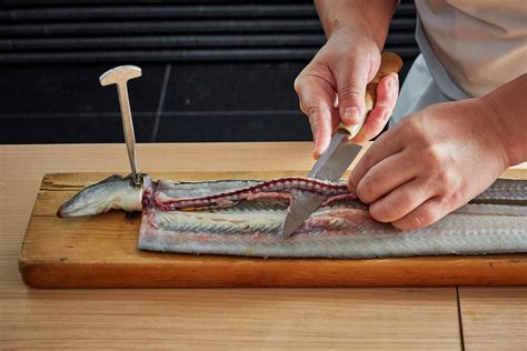 How To Fillet Freshwater Eel