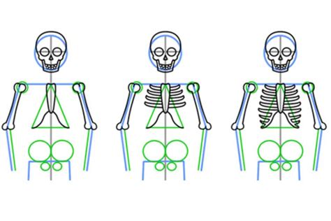 Drawing Skeleton Easy Realistic Head And Step By Step