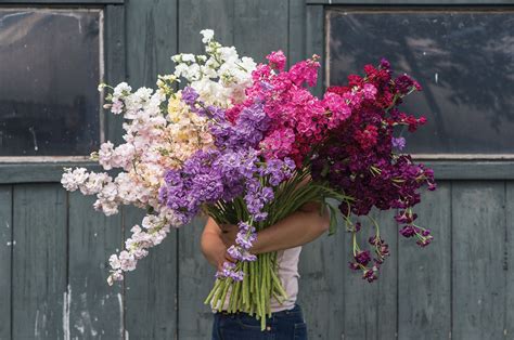 Охапка цветов - 84 фото