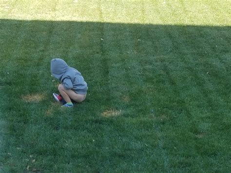 Kid Pees Outside