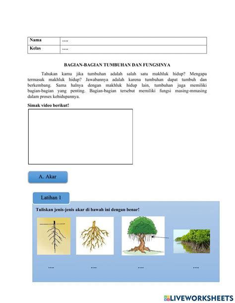 Bagian Tumbuhan Dan Fungsinya Interactive Worksheet Live Worksheets