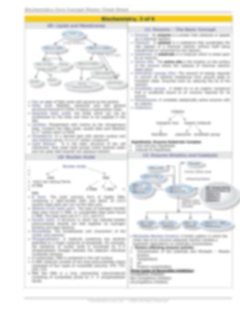 Solution Biochemistry Core Concept Master Cheat Sheet Studypool