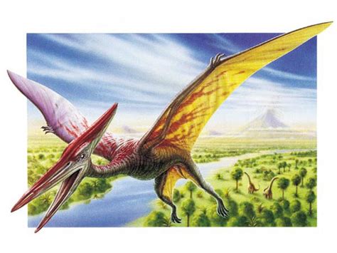 Al's Dino World: Mystery Dinosaur: Flying Pterosaurs