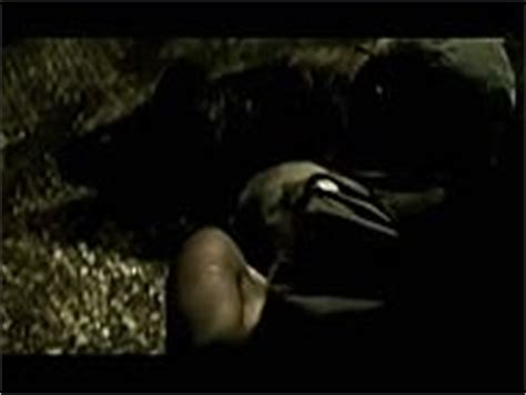 Allison Dean Nude Pics Videos Sex Tape