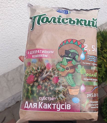 Купить Земля для пересадки кактусов 2.5Л, цена 35 ₴ — Prom.ua (ID ...