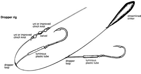 Dropper Or Ledger Rig The Fishing Website