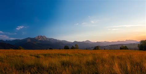 Free Images Landscape Tree Nature Grass Horizon Wilderness