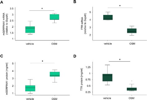 Osm Treatment Of Mice Results In Inverse Regulation Of Serpina1 And