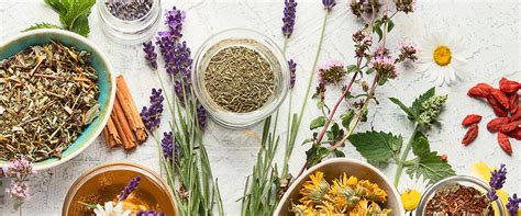 The Top Botanical Trends Redefining Flavor Innovation - Flavorchem
