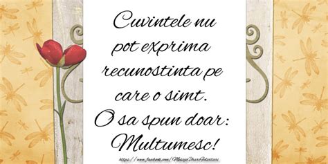 Poze De Multumire Felicitari Si Mesaje