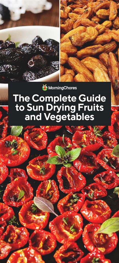 The Complete Guide To Sun Drying Fruits And Vegetables