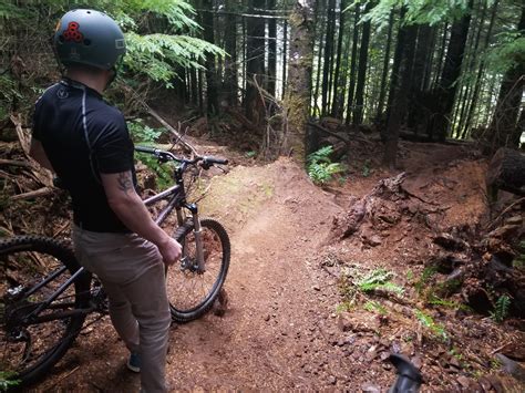 Go for a Summer Mountain Biking Adventure in Thurston County at Capitol