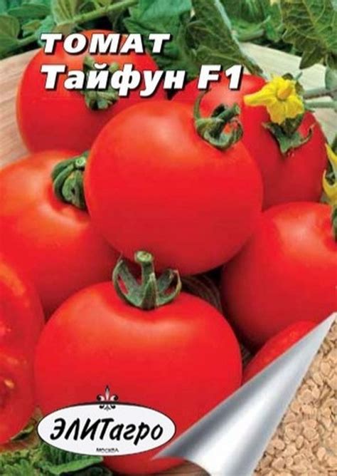 Томат Тайфун: ОТЗЫВЫ, фото, описание и характеристика | tomatland.ru