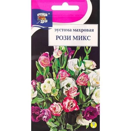 Эустома махровая Рози микс: описание сорта, характеристики, особенности ...