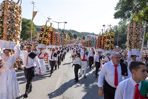 Festa Dos Tabuleiros Estimativa De Custos Autarquia De