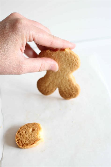 How Mant Bones And Muscles Are In The Body? : EDUCACIÓN FÍSICA I.E.S