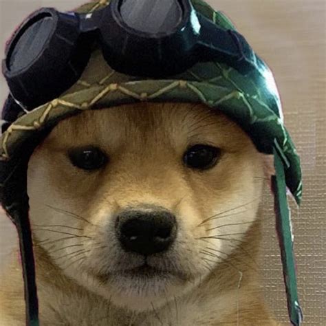 Military doge army - YouTube