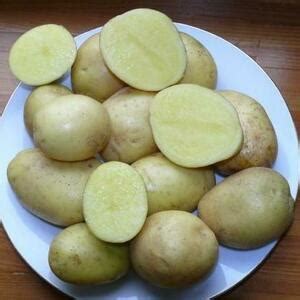 Семенной картофель, сорта для Ленинградской области и северо-запада ...