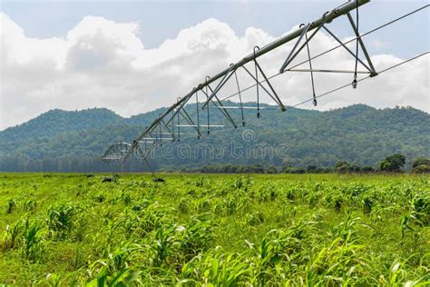 Automatic Linear Irrigation System Stock Image Image Of Countryside