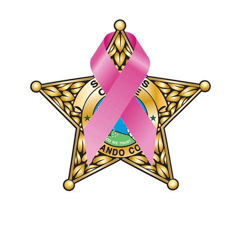 hernando county sheriff call log 5