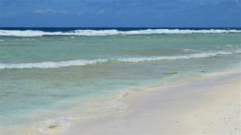 Exotic Burger Photos, Download The BEST Free Exotic Burger Stock Photos