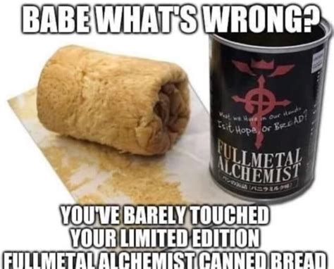 BABE WHAT SI WRONG YOU VE BARELY TOUCHED YOUR LIMITED EDITION METALUAICHEMIST CANNED RRESN IFunny