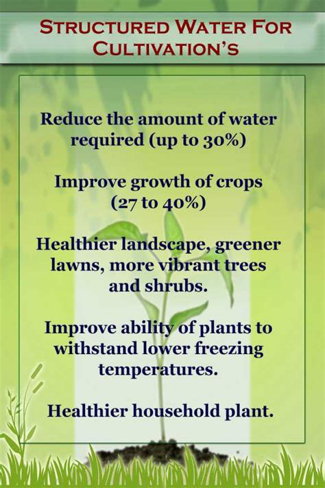 The Message From Water Brahmakumaris Save Water