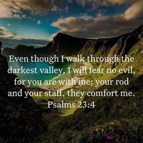 Psalms Verses Scripture Verses Bible Scriptures Gospel Bible Jesus