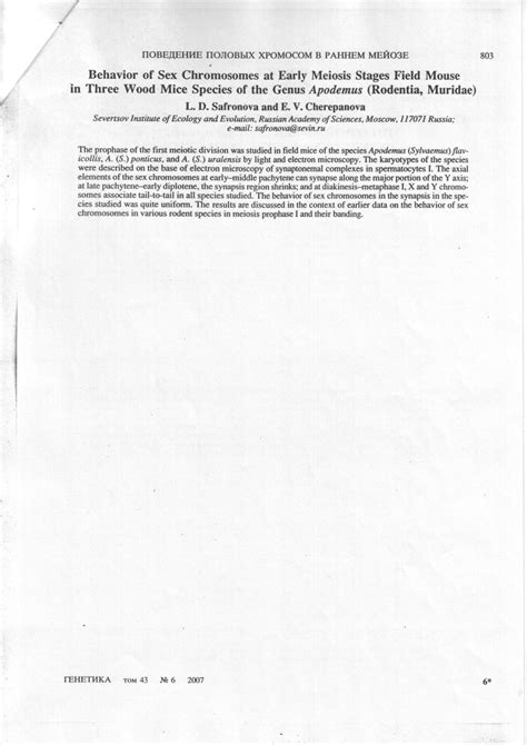 PDF Sex Chromosomes At Early Meiosis In Three Wood Mice Species Of The Genus Apodemus