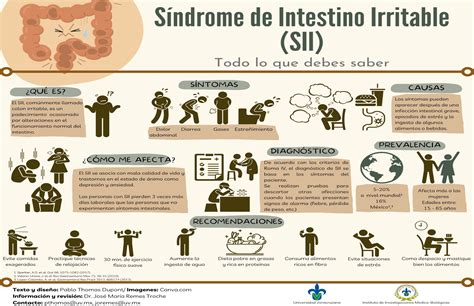 Abdomen Inflamado Podr A Ser El S Ndrome Del Intestino Irritable