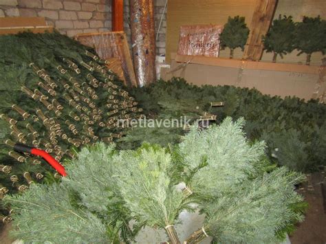 Веник пихтовый оптом от производителя - у нас покупают мастера пара ...