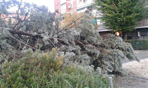 Cortes En Calles De Latina Entre El Y De Septiembre De Por Labores De