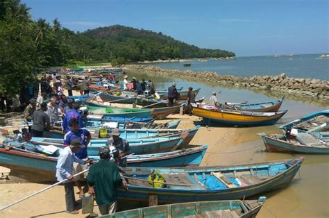 Perbedaan Kegiatan Ekonomi Masyarakat Pesisir Pantai dan Pegunungan - Kids