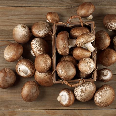 16 Best Cremini Mushroom Substitutes For Cooking Tastylicious