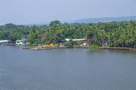 Zuari River Bank With Tropical Forest, Goa, India Stock Image - Image ...