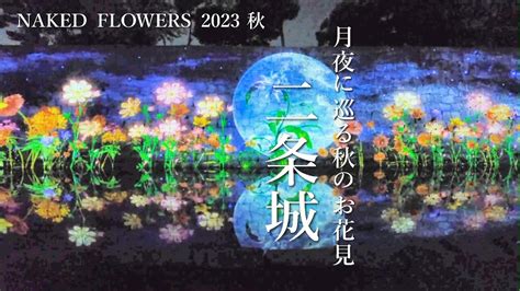 京都二条城ライトアップ紅葉アート幻想的な夜 NAKED FLOWERS 秋 Nijo Castle in KYOTO YouTube