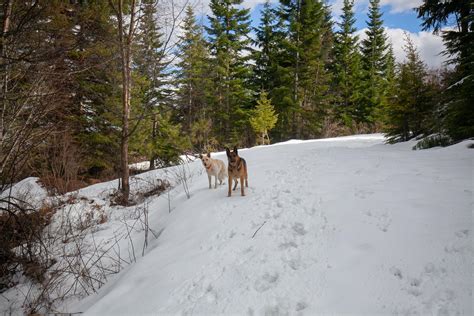 Mica Peak Conservation Area : r/Spokane