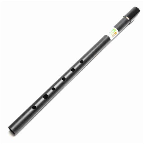 James Dominic Low D Whistle Pre Owned Big Whistle