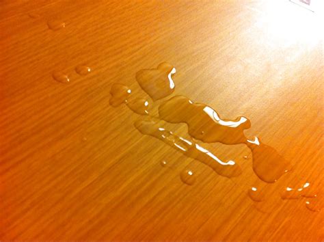 My Cum On The Hotel Table Porn Pictures XXX Photos Sex Images 844602 PICTOA