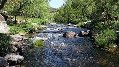 México Ríos Y Naturaleza Requieren De Protección Legal Y Derechos El Heraldo De Saltillo