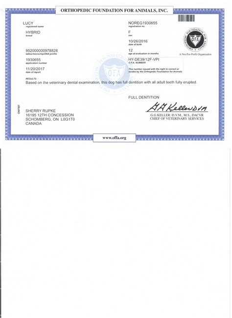 Lucy Dental Swissridge Kennels